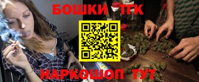 крисы Тулун