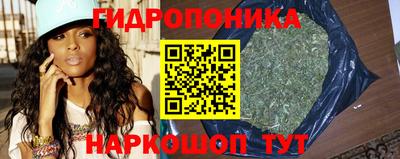 крисы Тулун