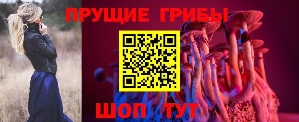 Псилоцибиновые грибы Psilocybine cubensis Великий Устюг